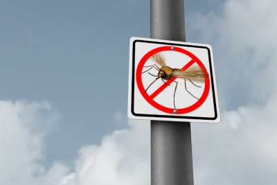 West Nile Virus: le misure di prevenzione per il 2026